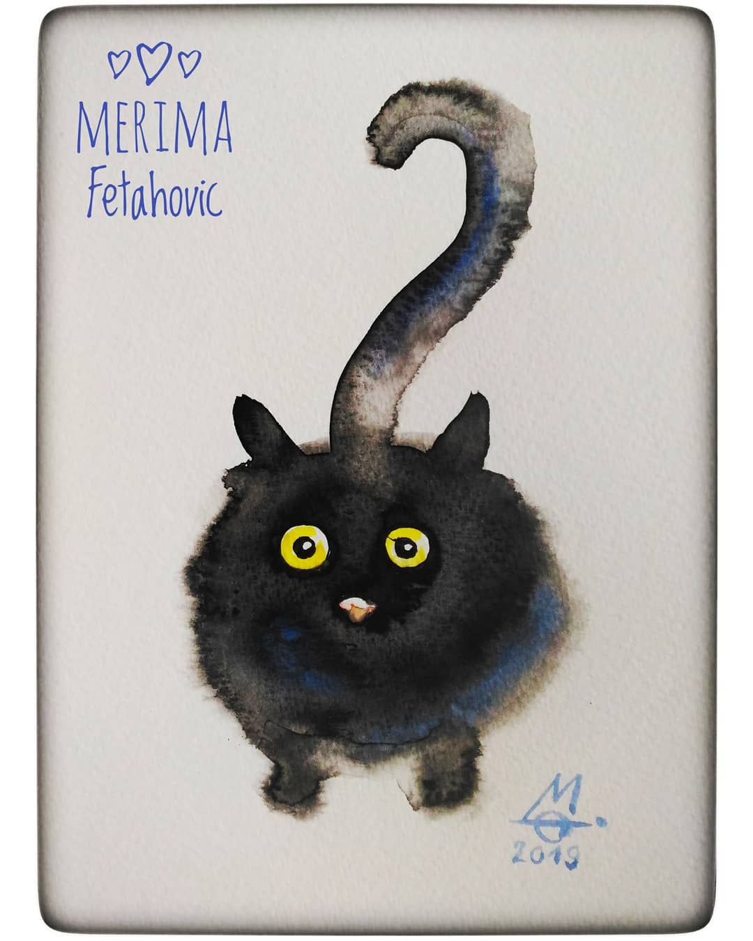 Black Curious cat